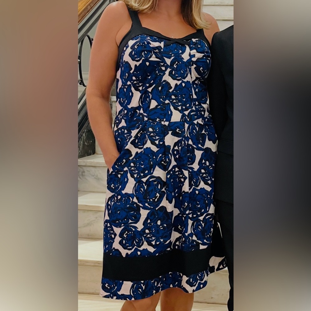 Floral Blue and White Dress